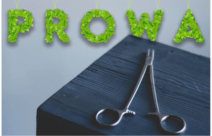 Sustainability Banner