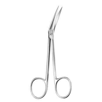 Dental Instruments