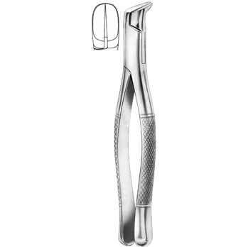 Dental Instruments
