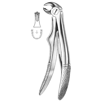 Dental Instruments